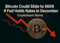 cryptoquant warns bitcoin could slide